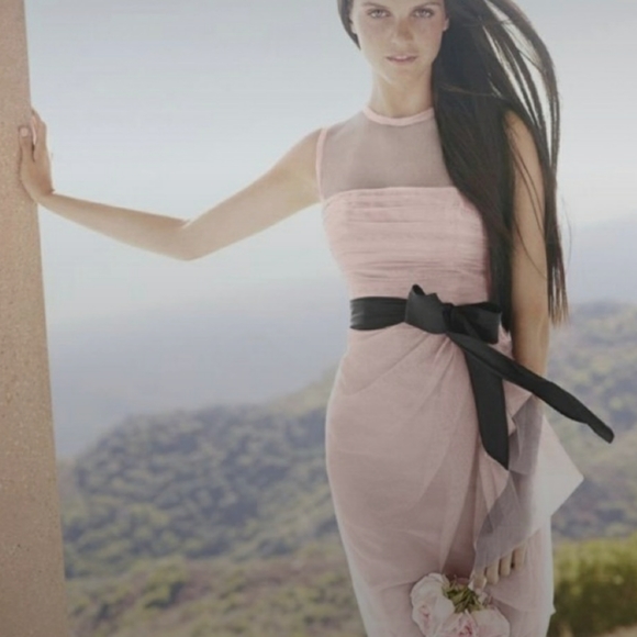 Vera Wang White Label Cameo Pink & Black Tulle Draped Special Occasion Dress - Picture 15 of 15